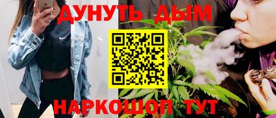 сатива Ставрополь