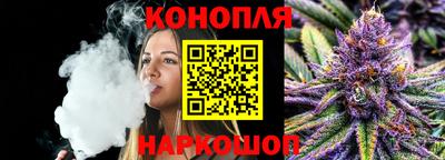 сатива Ставрополь