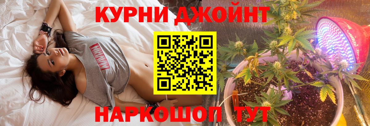 Марихуана план Георгиевск